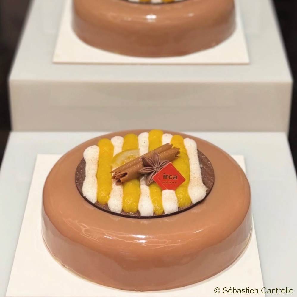 Moule à entremets - Rond bords arrondis H45 Ø180