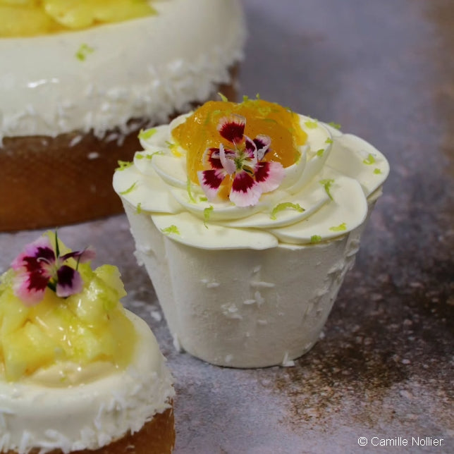 Bandeja de postres individual - 6 moldes Mini margaritas