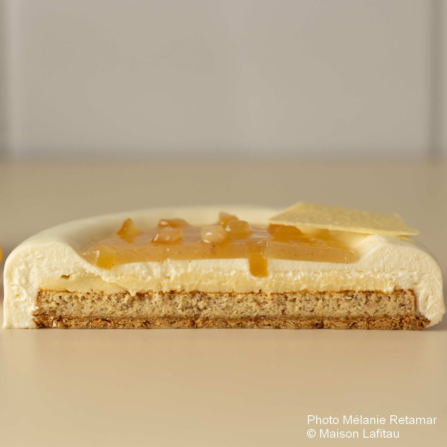Moule à entremets - Rond bords arrondis avec nid H40 Ø180