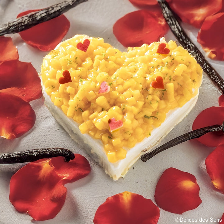 Moule à entremets - Cœur Plat 600ml