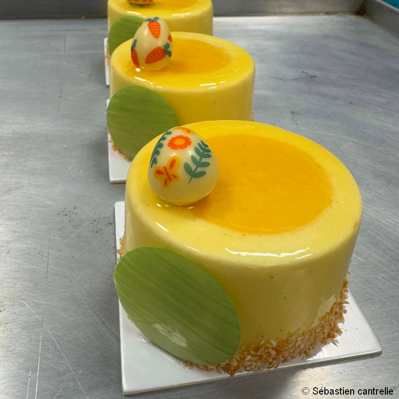 Moule à Entremet Charlotte Génoise - Grande Capacité 1,5 litres - Gris Moule à Entremet Charlotte Génoise - Grande Capacité 1,5 litres - Gris