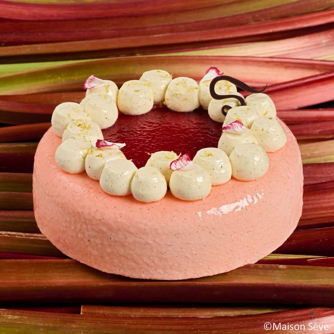 Round entremets mold with rounded edges and nest, H45 Ø160