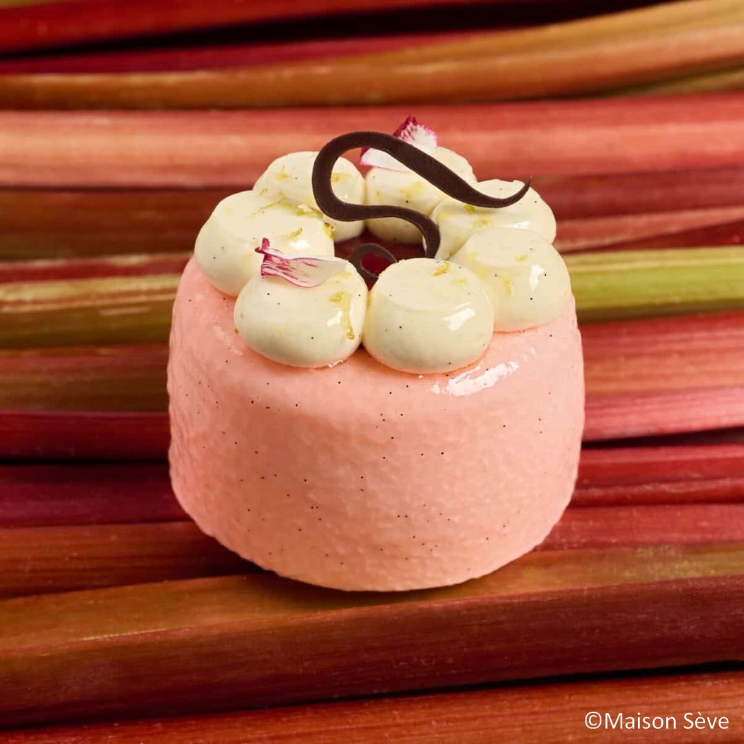 Plateau entremets individuels - 6 moules entremets ronds bords arrondis avec nid H40 Ø65