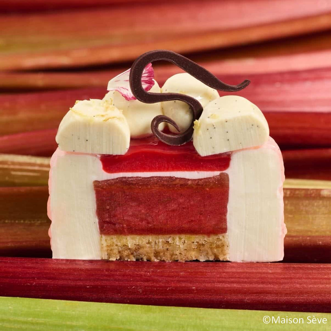 Plateau entremets individuels - 6 moules entremets ronds bords arrondis avec nid H40 Ø65